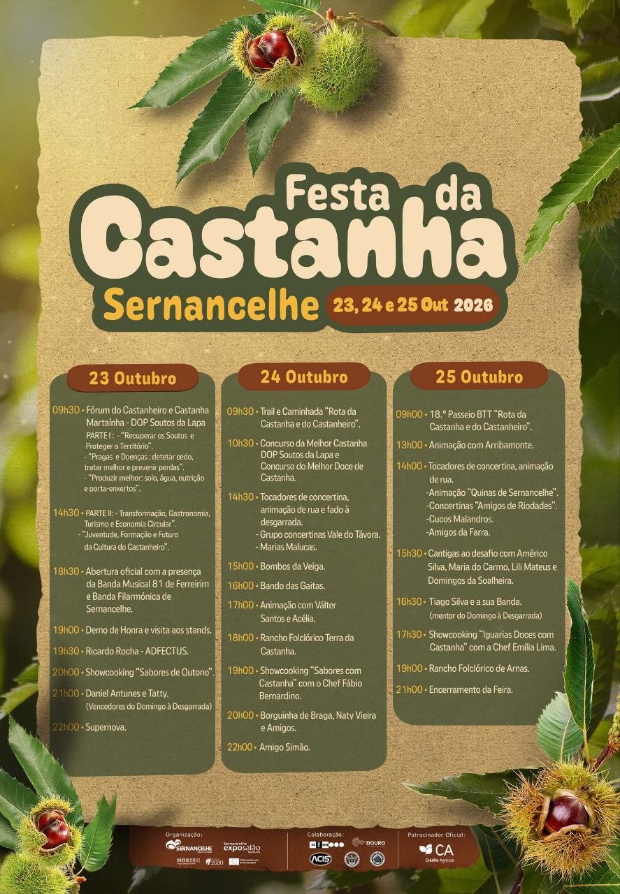 Cartaz de Festa da Castanha